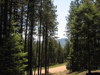 Lot 24 A & B Taos Pines Ranch
